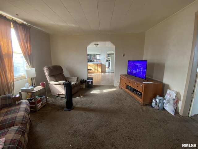 living room featuring carpet flooring