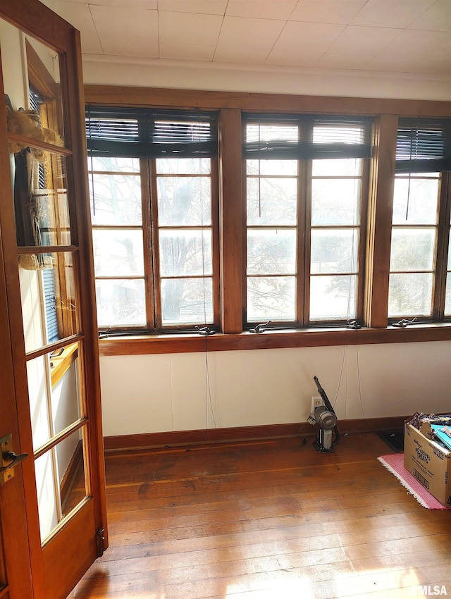 interior space featuring wood-type flooring and a healthy amount of sunlight