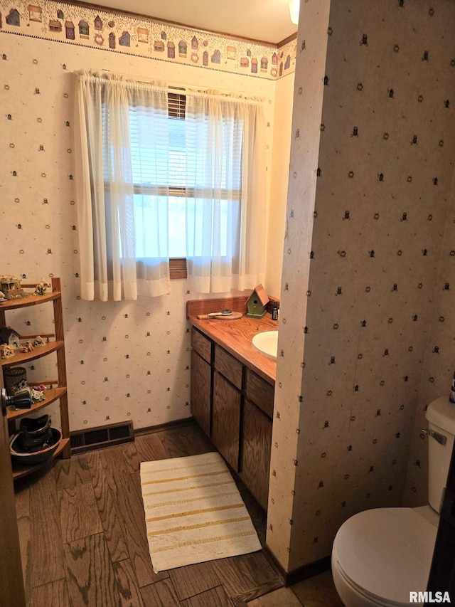 bathroom with vanity, wood-type flooring, and toilet