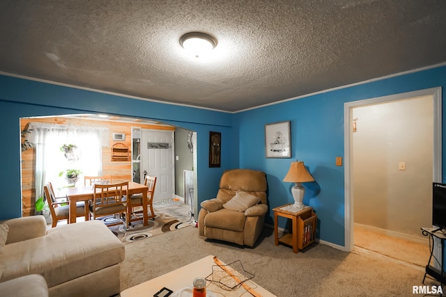 living room with carpet floors and a textured ceiling