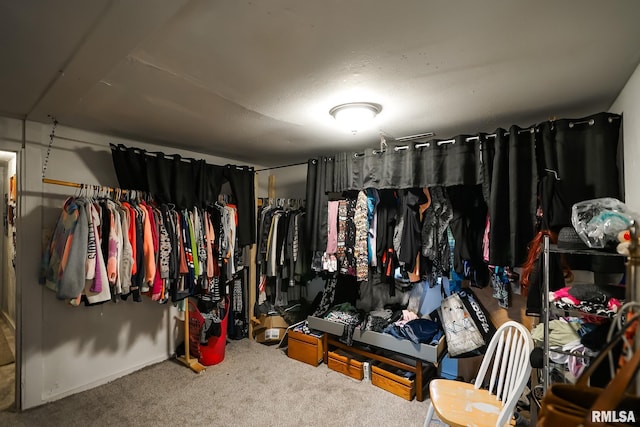 spacious closet featuring carpet floors