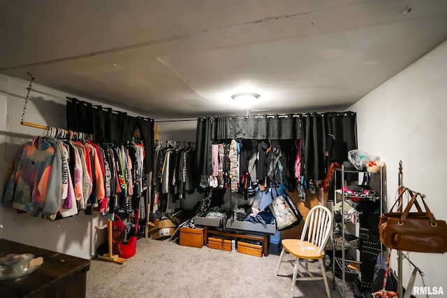 walk in closet with carpet flooring