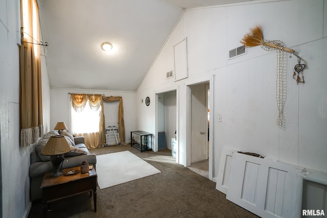 interior space with dark carpet and high vaulted ceiling