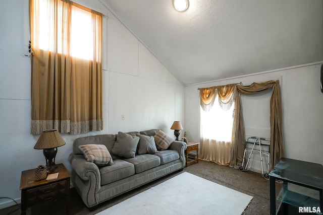 living room featuring lofted ceiling and dark colored carpet