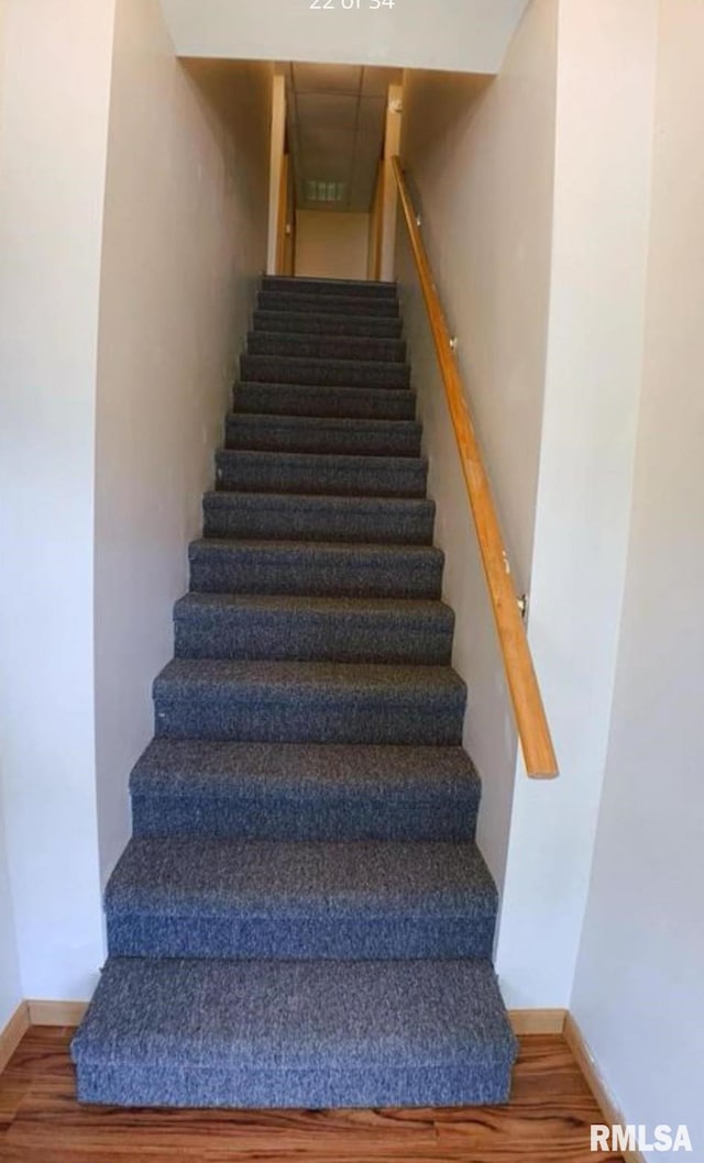 staircase featuring wood-type flooring