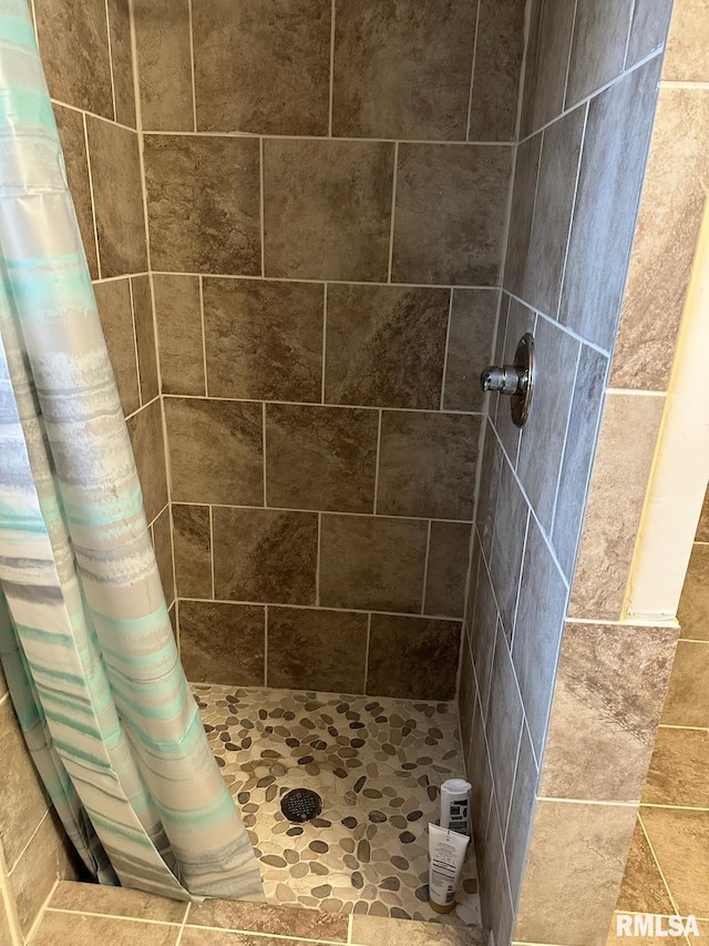 bathroom featuring a shower with shower curtain