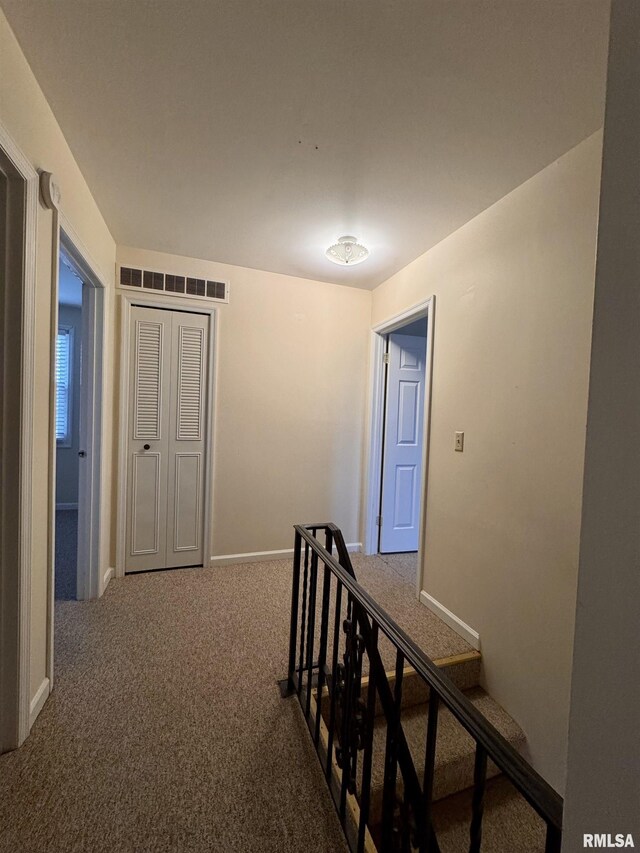 hallway with carpet flooring