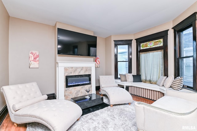 living room featuring wood-type flooring and a premium fireplace