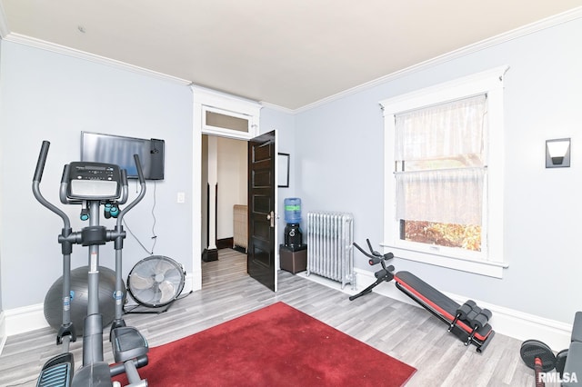 exercise area with radiator, crown molding, and light wood-type flooring