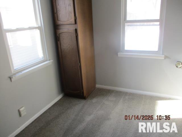 unfurnished bedroom featuring light carpet