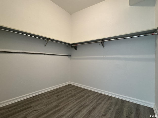 walk in closet featuring dark hardwood / wood-style floors