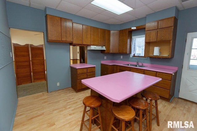 kitchen featuring a drop ceiling, sink, light hardwood / wood-style flooring, and a kitchen island