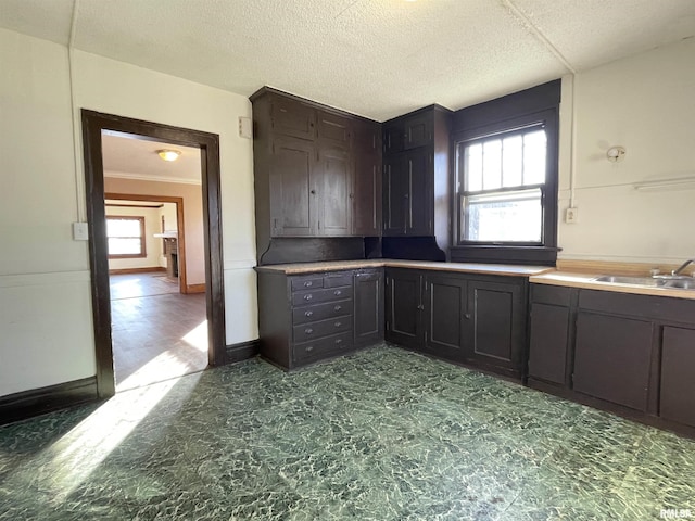 kitchen with dark brown cabinets, sink, and a textured ceiling