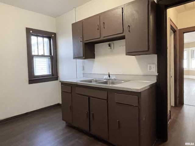 kitchen featuring sink, a healthy amount of sunlight, dark wood-type flooring, and dark brown cabinetry