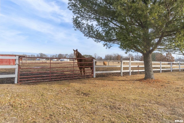 view of yard featuring a rural view