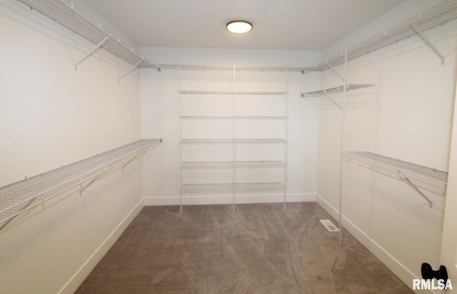 7023 N Water Oak Dr, Edwards, IL 61528 - spacious closet with carpet floors
