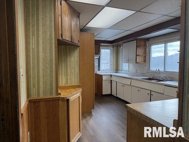 kitchen with hardwood / wood-style flooring, white cabinetry, sink, and a paneled ceiling