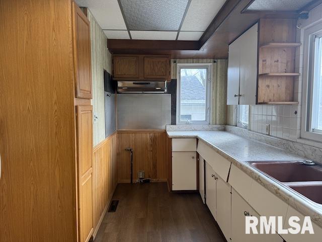 kitchen with plenty of natural light, sink, a drop ceiling, and dark hardwood / wood-style flooring