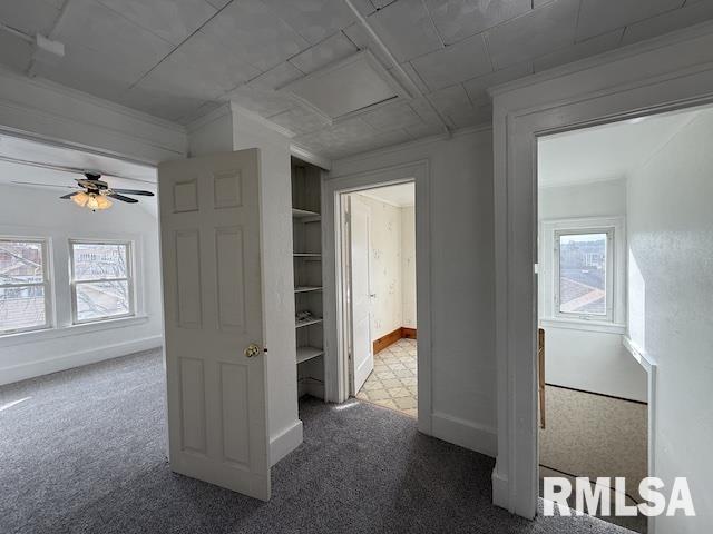 hall featuring built in features, a healthy amount of sunlight, and dark colored carpet