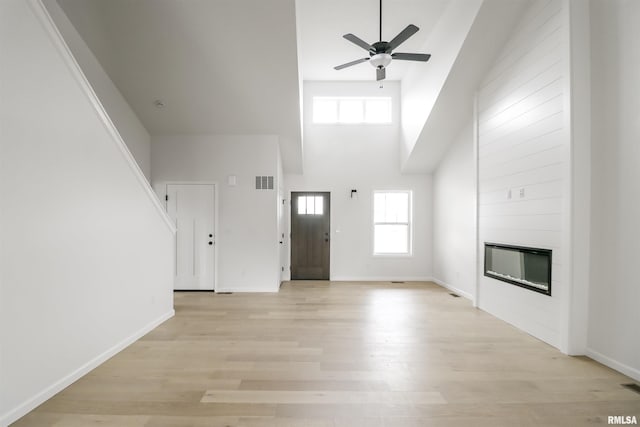 entrance foyer featuring a fireplace, light hardwood / wood-style floors, and a healthy amount of sunlight