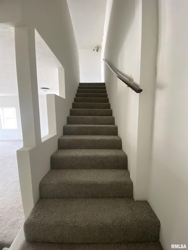 staircase with carpet floors