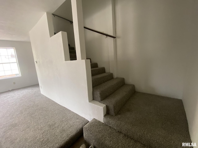 stairs featuring carpet flooring