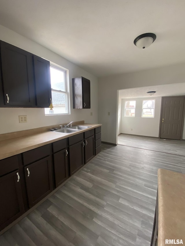 kitchen featuring hardwood / wood-style flooring, sink, and a wealth of natural light