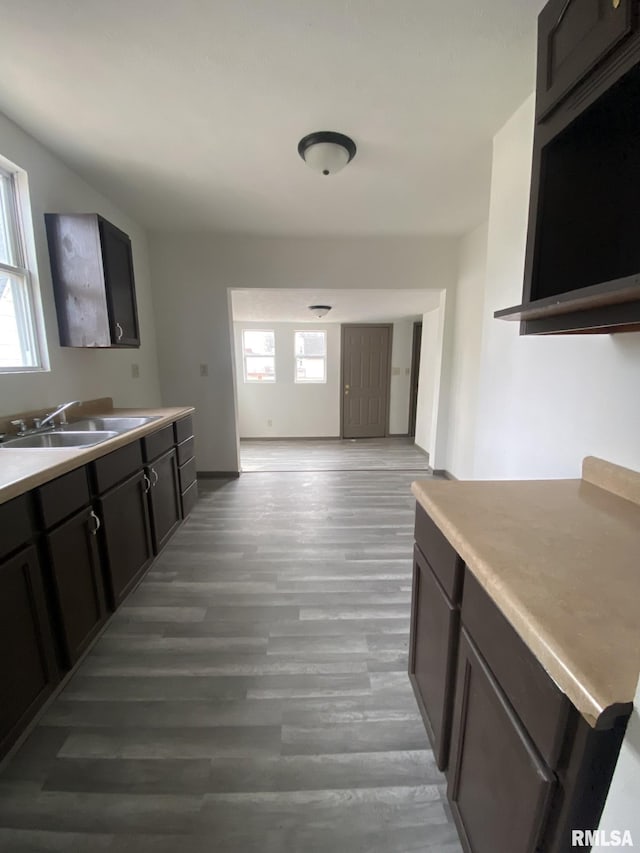 kitchen with hardwood / wood-style flooring, sink, and dark brown cabinets