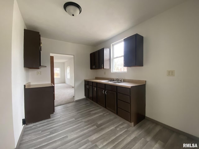 kitchen with dark brown cabinets, sink, and light hardwood / wood-style flooring