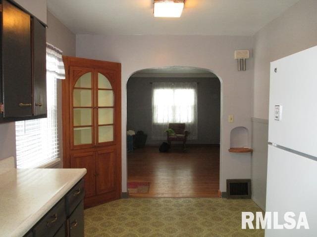 kitchen with dark brown cabinetry, light hardwood / wood-style floors, and white fridge