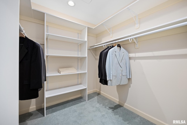 spacious closet featuring carpet flooring