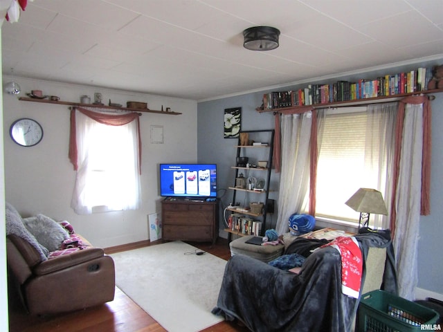 living room featuring crown molding and wood-type flooring