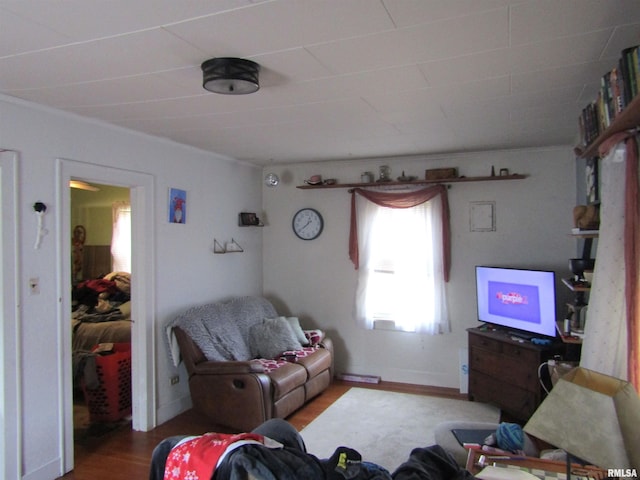 living room featuring wood-type flooring