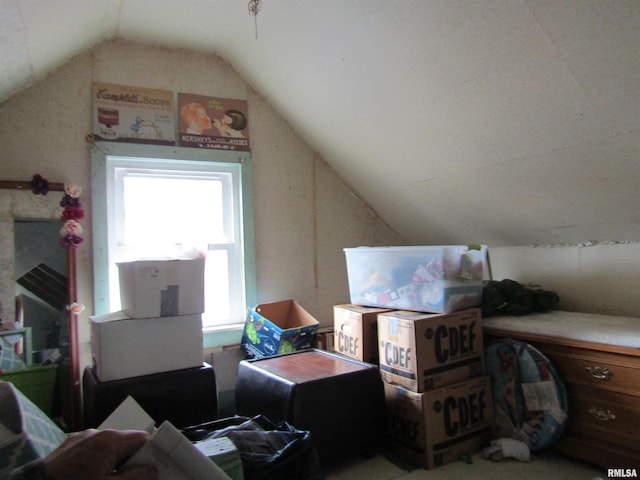 additional living space with lofted ceiling