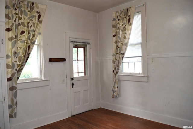 doorway to outside featuring dark wood-type flooring