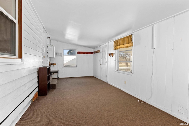 interior space with vaulted ceiling and wood walls