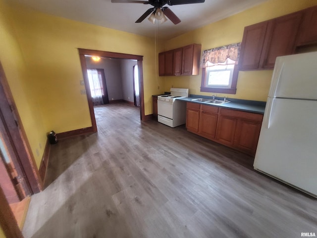 kitchen featuring ceiling fan, white appliances, sink, and light hardwood / wood-style flooring