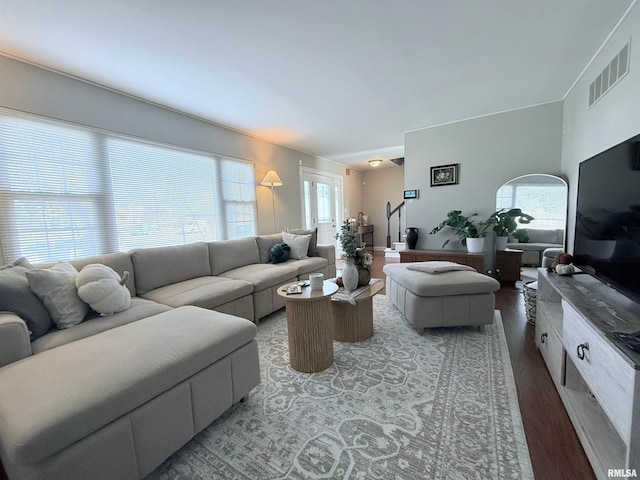 living room featuring hardwood / wood-style floors and a healthy amount of sunlight