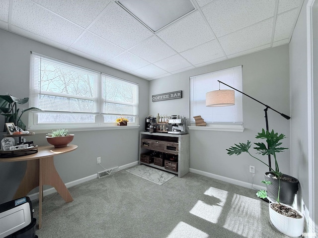 carpeted office space featuring a drop ceiling