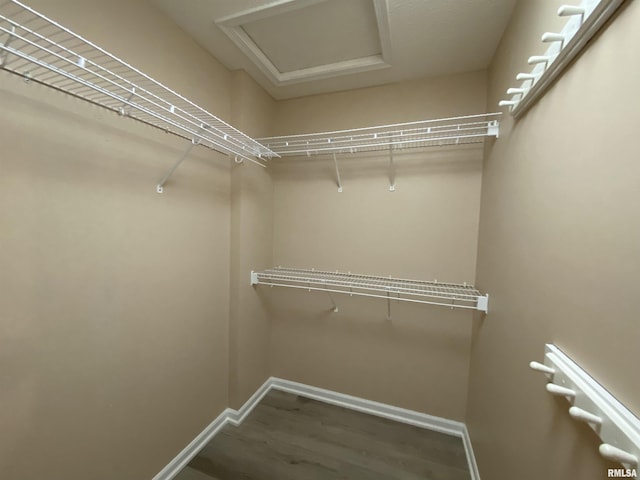 walk in closet featuring hardwood / wood-style floors