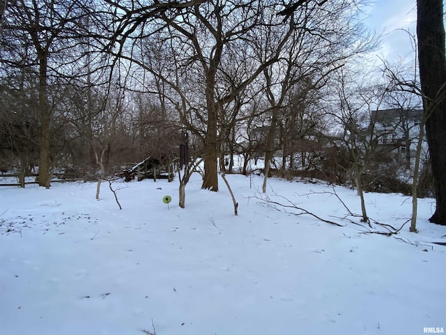 view of snowy yard