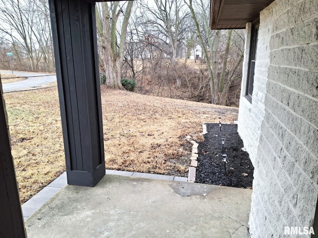 300 E 4th St, Saint David, IL 61563 - view of patio