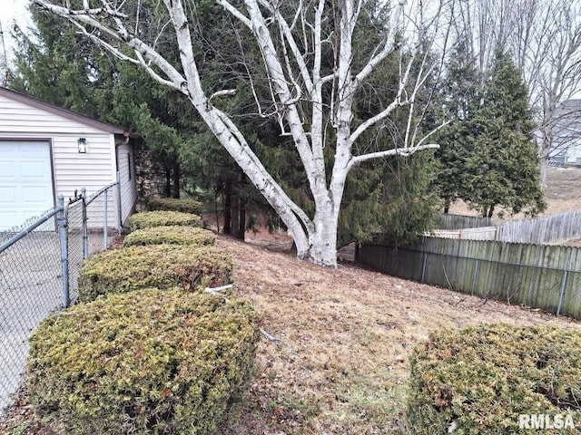 300 E 4th St, Saint David, IL 61563 - view of yard featuring a garage and fence