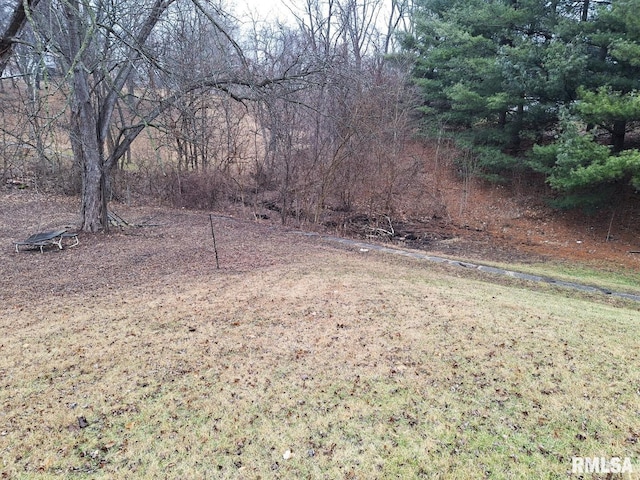 300 E 4th St, Saint David, IL 61563 - view of yard