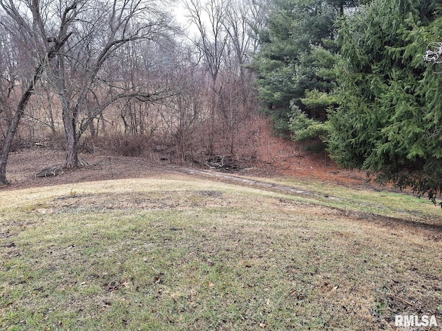 300 E 4th St, Saint David, IL 61563 - view of yard