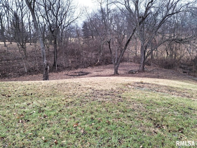 300 E 4th St, Saint David, IL 61563 - view of yard with a patio