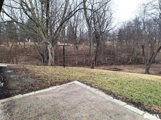 300 E 4th St, Saint David, IL 61563 - view of yard featuring a patio area