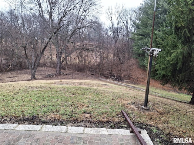 300 E 4th St, Saint David, IL 61563 - view of yard