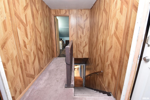 stairs with carpet floors and wooden walls