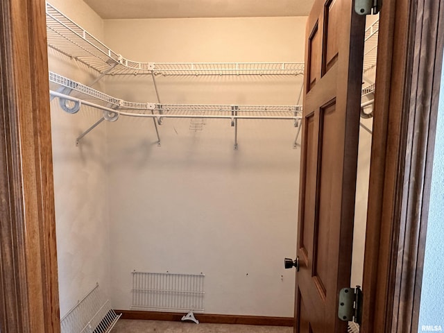 view of spacious closet